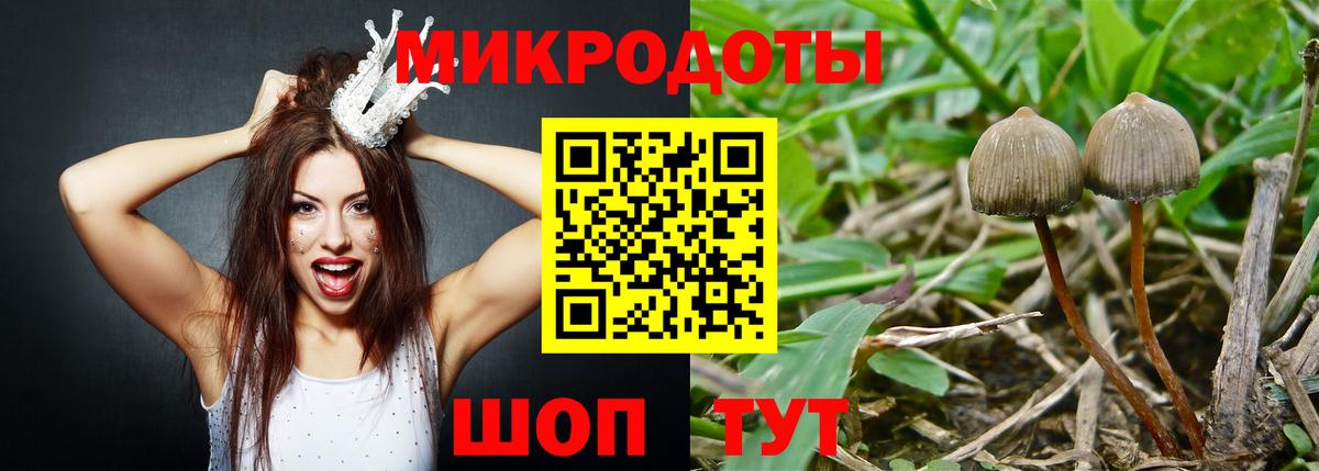 Галлюциногенные грибы Psilocybine cubensis Похвистнево